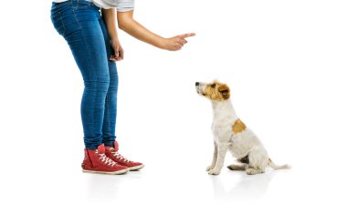 kadın eğitimi köpek