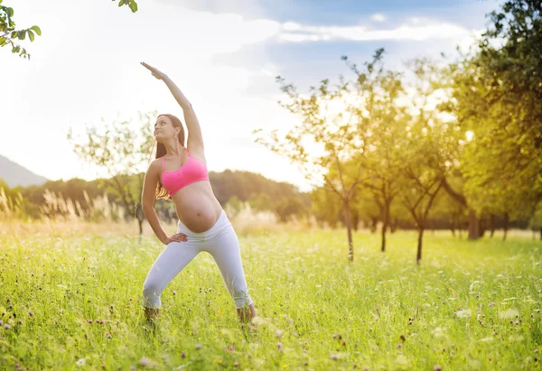 Schwangere praktiziert Yoga — Stockfoto