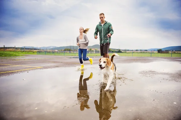 Paar geht Hund im Regen spazieren. — Stockfoto