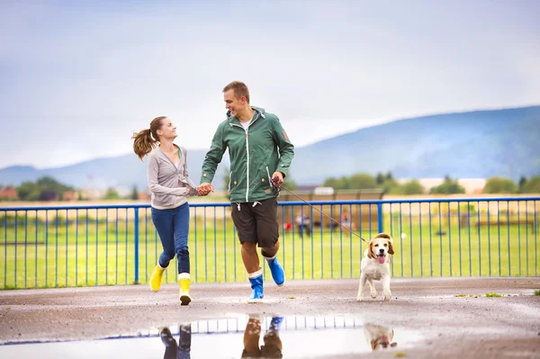 Couple walk dog in rain. — Stock Photo, Image