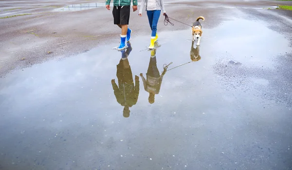 Paar geht Hund im Regen spazieren. — Stockfoto