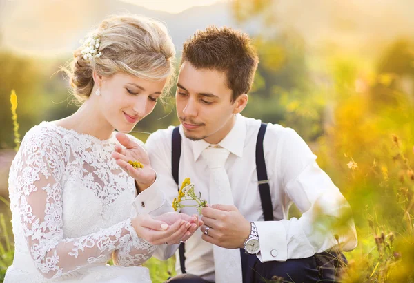 Wedding couple enjoying romantic moments — Stock Photo, Image