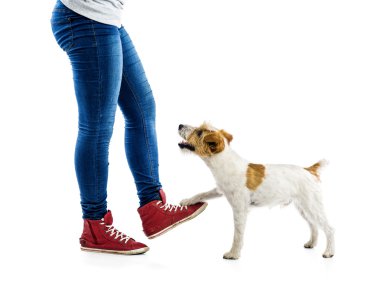 kadın eğitimi köpek