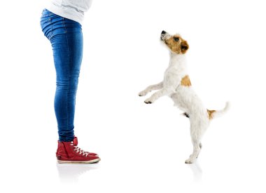 kadın eğitimi köpek