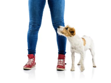 kadın eğitimi köpek