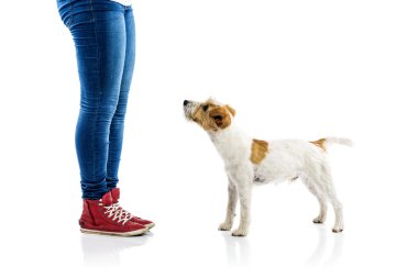 kadın eğitimi köpek