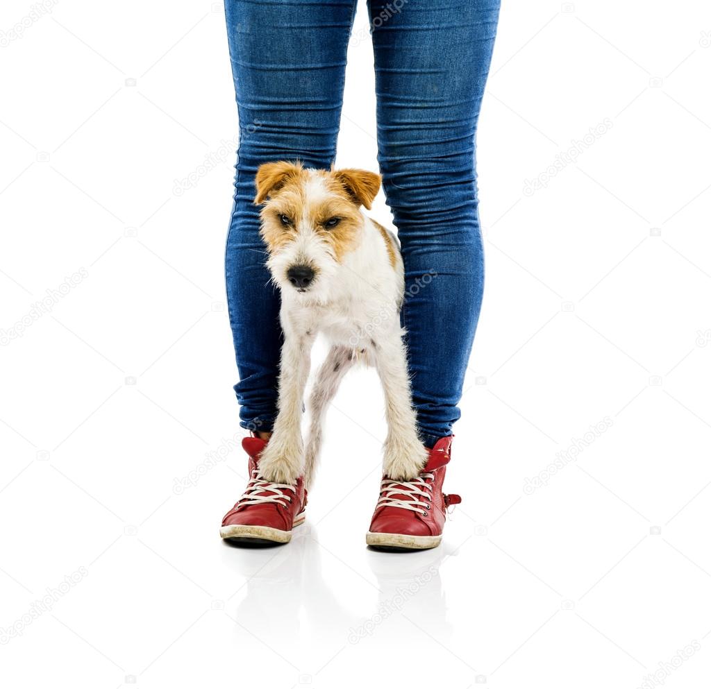 Woman training dog