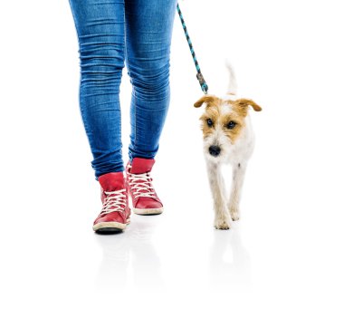 Kadın köpeğini yürümek