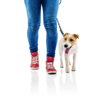 Kadın köpeğini yürümek