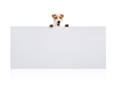 Terrier köpek boş bir reklam ile