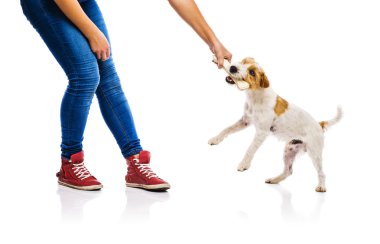 Kadın besleme köpek