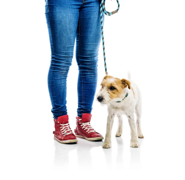 Frau geht mit Hund spazieren — Stockfoto