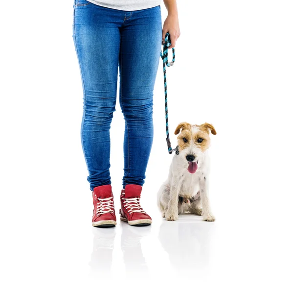 Köpeği olan bir kadın. — Stok fotoğraf