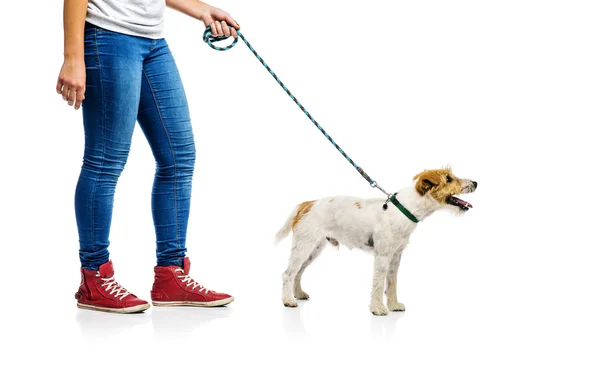 Vrouw met haar hond — Stockfoto