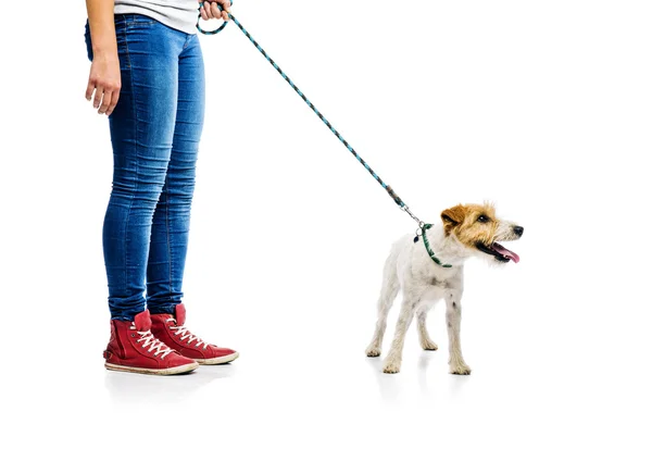 Vrouw met haar hond — Stockfoto