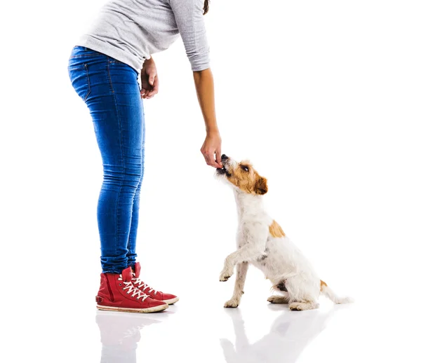 Kvinnan utfodring hunden — Stockfoto