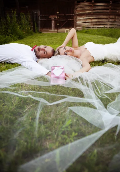 Bruden och brudgummen liggande på gräs — Stockfoto