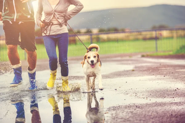 カップルの犬と一緒に実行しています。 — ストック写真