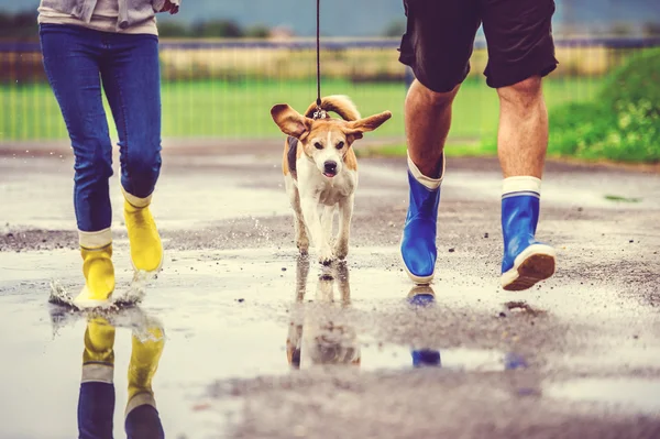 Пара бегающих с собакой — стоковое фото