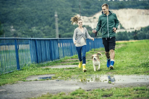 Пара прогулок с собакой под дождем . — стоковое фото