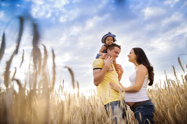 Família grávida com filha em campo — Fotografia de Stock