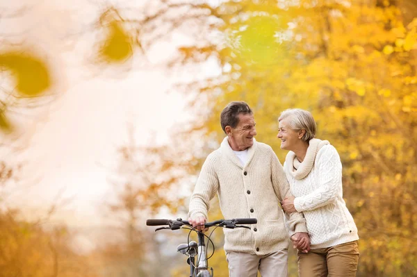 Senior couple enjoying walk with bicycle — Stock Photo, Image