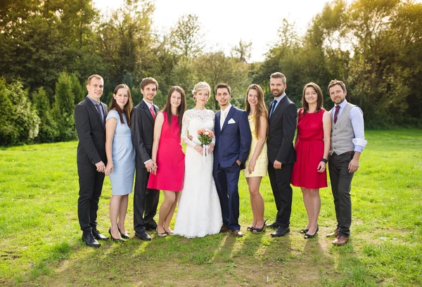 Bridesmaids and groomsmen in sunny park — Stock Photo, Image