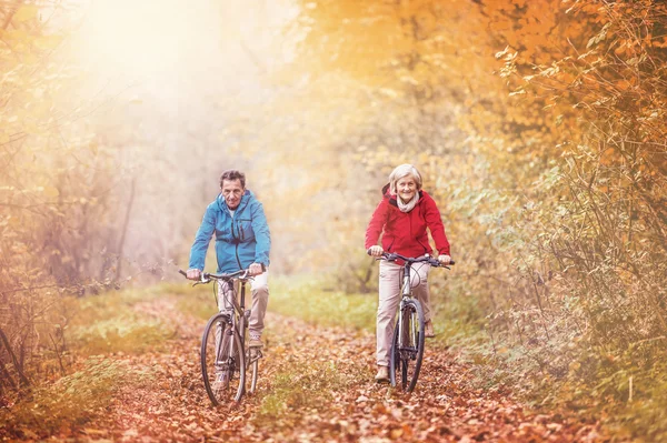 Aktiva seniorer rider på cyklar — Stockfoto