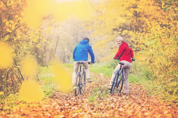 Active seniors riding on bikes — Stock Photo, Image