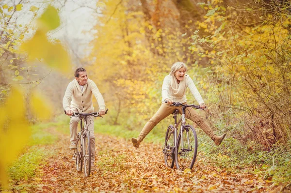 Bisiklet üzerinde aktif yaşlılar — Stok fotoğraf