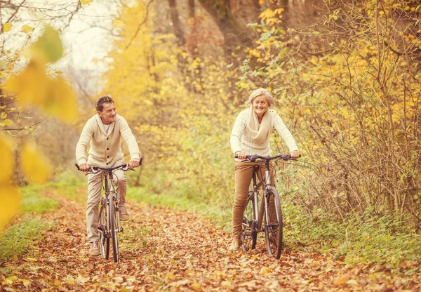 Aktiva seniorer på cyklar — Stockfoto