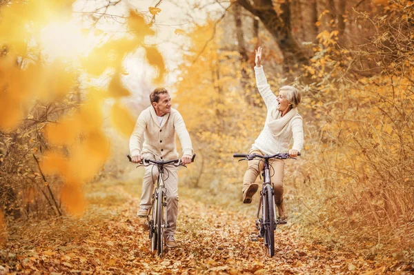 Actieve senioren op fietsen — Stockfoto