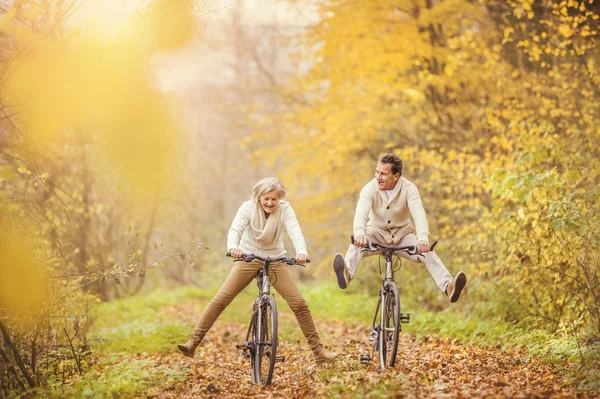 Aktiva seniorer på cyklar — Stockfoto