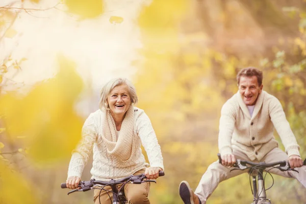 Bisiklet üzerinde aktif yaşlılar — Stok fotoğraf