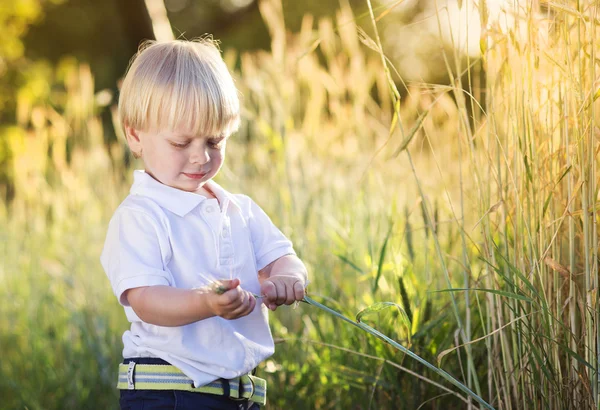 Malý chlapec hraje s trávou — Stock fotografie