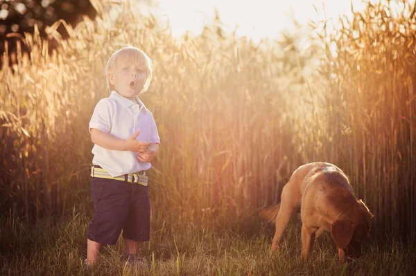 Menino brincando com seu cão — Fotografia de Stock