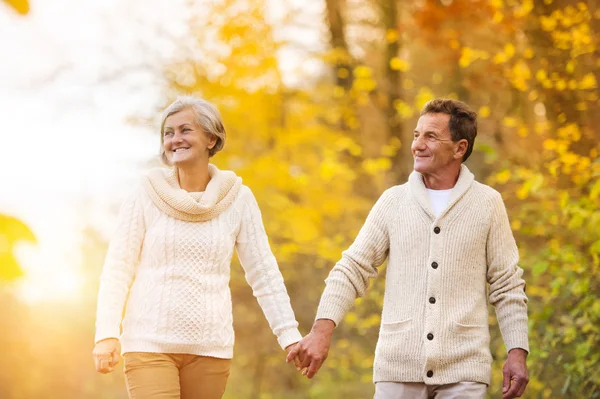 Active seniors relax in nature — Stock Photo, Image