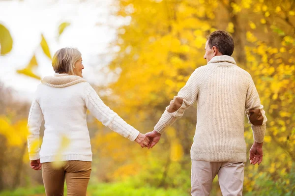 Active seniors relax in nature — Stock Photo, Image