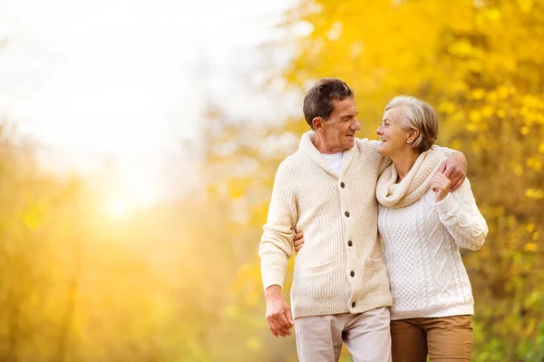 Active seniors relax in nature — Stock Photo, Image