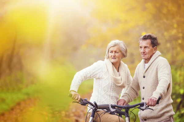 Active seniors on bikes — Stock Photo, Image