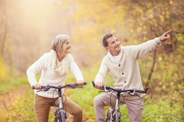 Aktiva seniorer på cyklar — Stockfoto