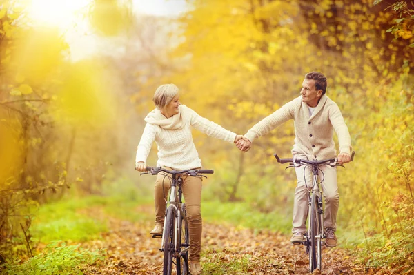 Anziani attivi in bicicletta — Foto Stock