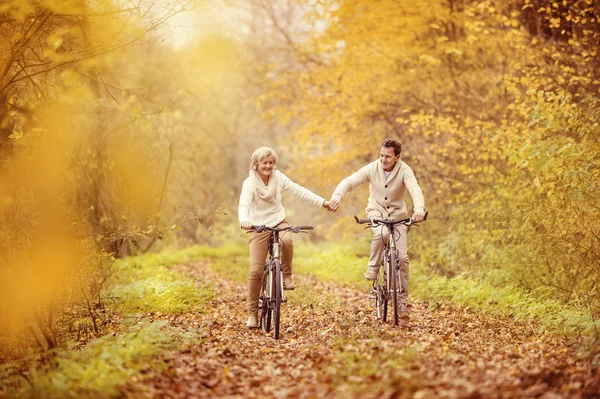 Idosos ativos em bicicletas — Fotografia de Stock