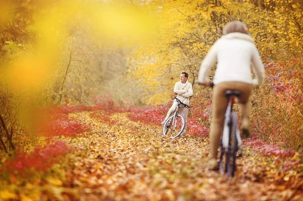 Actieve senioren op fietsen — Stockfoto