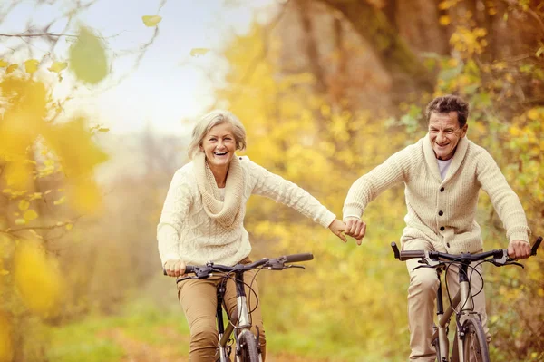 Active seniors on bikes Royalty Free Stock Images