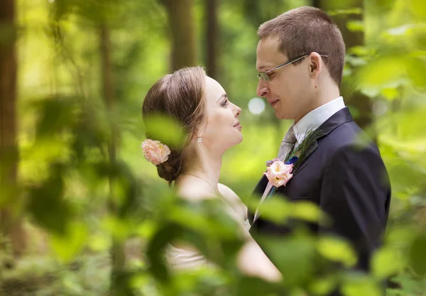 Nevěsta a ženich v lese — Stock fotografie