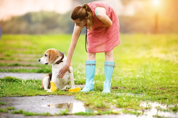 Kvinna i gummistövlar gå sin beagle hund — Stockfoto