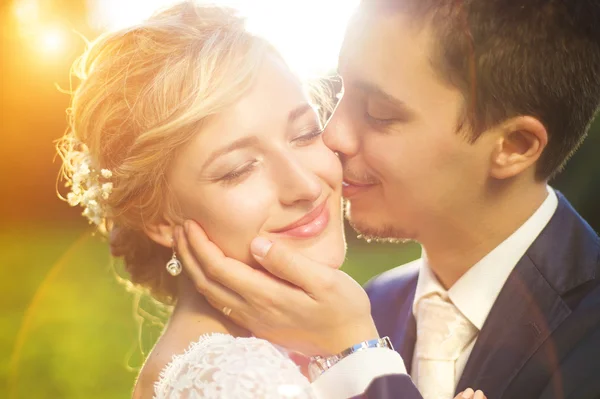 Wedding couple kissing on meadow — Stock Photo, Image