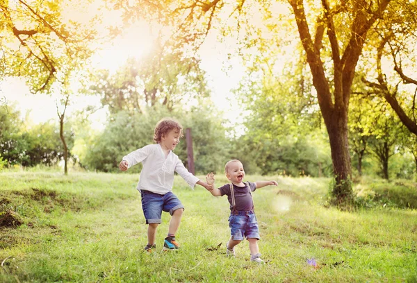 Little boys playing in a park — Stock Photo, Image
