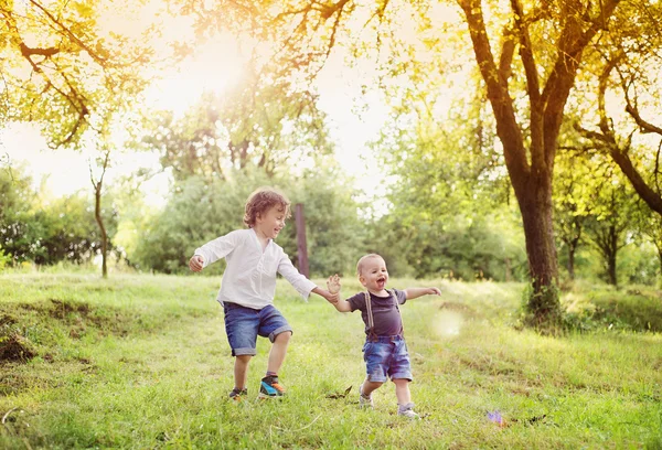 Kleine jongens spelen in een park Stockafbeelding